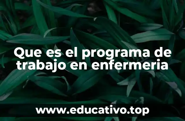 Que es el programa de trabajo en enfermeria