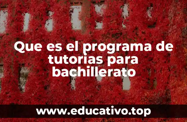 Que es el programa de tutorias para bachillerato