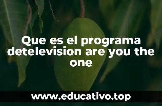 Que es el programa detelevision are you the one