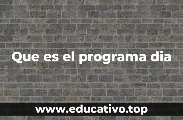 Que es el programa dia