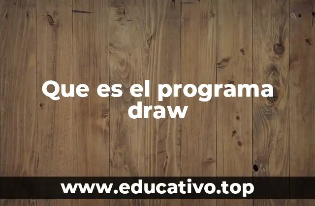 Que es el programa draw
