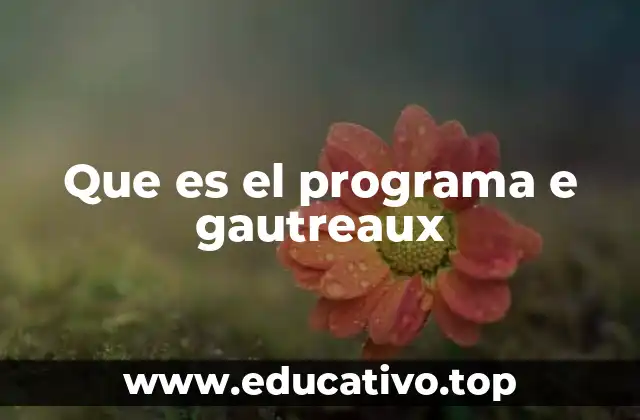 Que es el programa e gautreaux