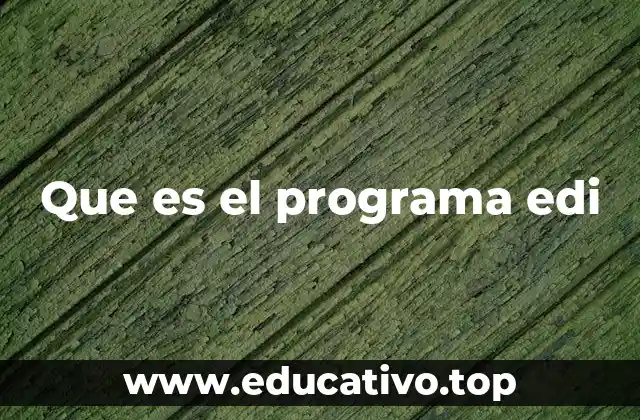 Que es el programa edi