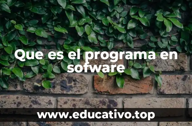 Que es el programa en sofware