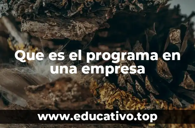 Que es el programa en una empresa