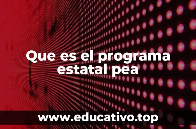 Que es el programa estatal pea