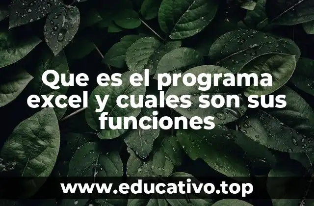 Que es el programa excel y cuales son sus funciones