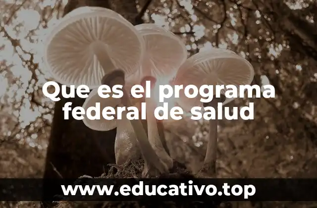 Que es el programa federal de salud