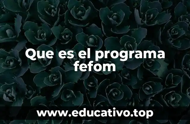 Que es el programa fefom