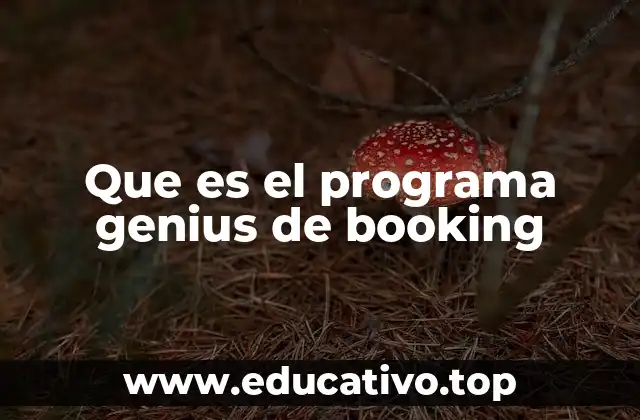 Que es el programa genius de booking