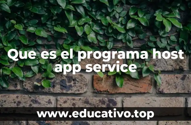 Que es el programa host app service