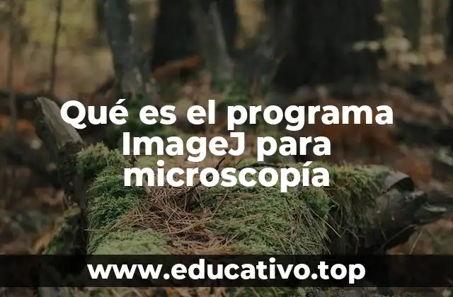 Qué es el programa ImageJ para microscopía