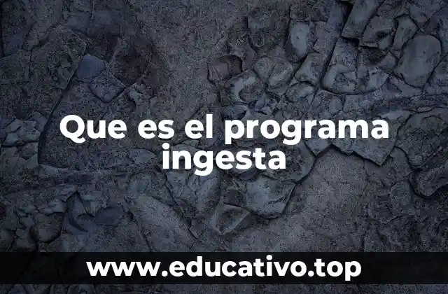 Que es el programa ingesta