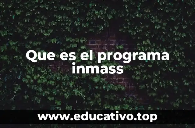 Que es el programa inmass