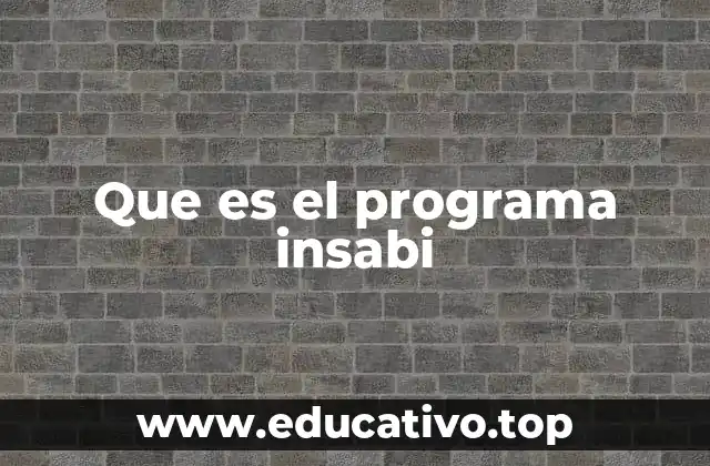 Que es el programa insabi