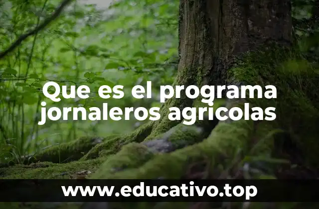 Que es el programa jornaleros agricolas