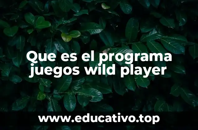 Que es el programa juegos wild player