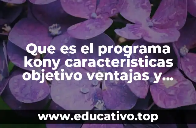 Que es el programa kony caracteristicas objetivo ventajas y desventajas