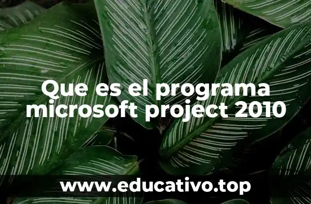 La importancia de la planificación en la gestión de proyectos