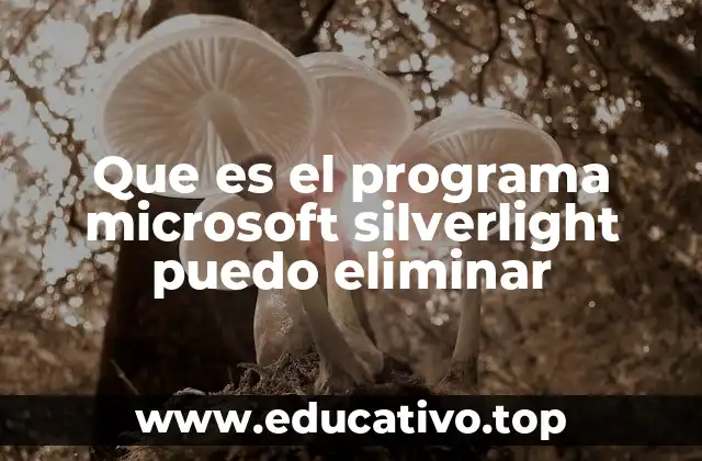 Que es el programa microsoft silverlight puedo eliminar