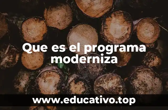 Que es el programa moderniza