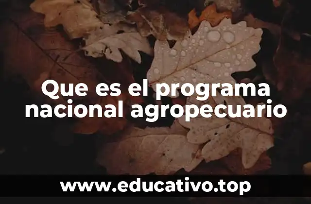 Que es el programa nacional agropecuario