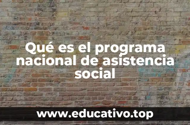 Qué es el programa nacional de asistencia social