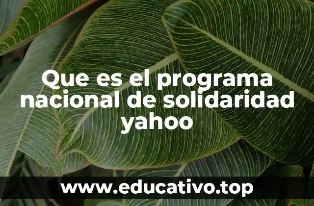 Que es el programa nacional de solidaridad yahoo