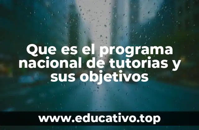 Que es el programa nacional de tutorias y sus objetivos
