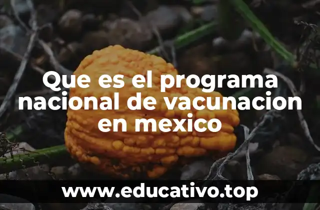 Que es el programa nacional de vacunacion en mexico