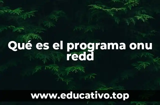Qué es el programa onu redd