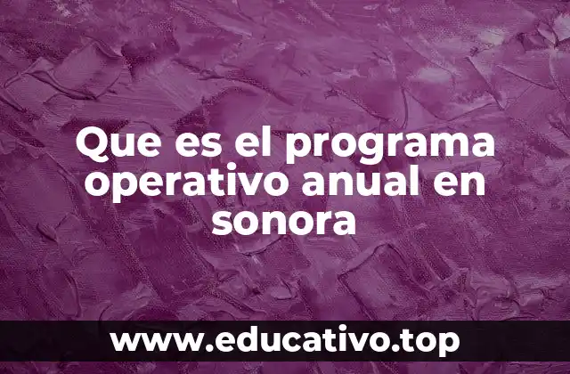 Que es el programa operativo anual en sonora