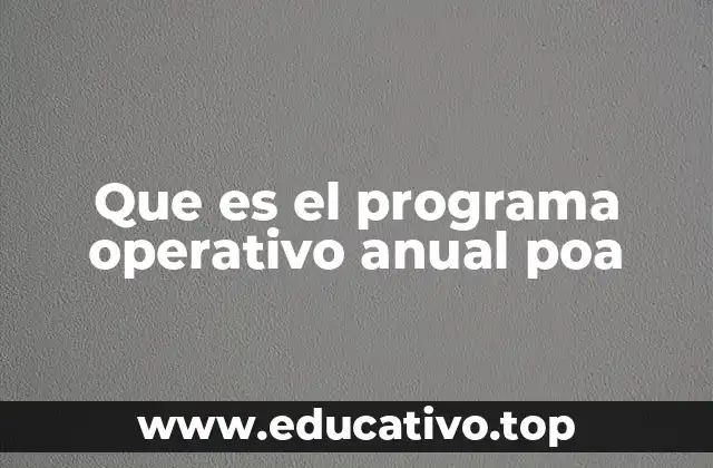 Que es el programa operativo anual poa