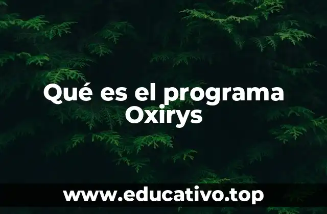 Cómo el programa Oxirys transforma la gestión empresarial
