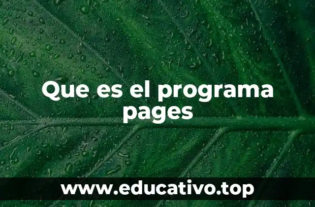 Que es el programa pages