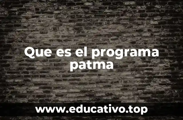 Que es el programa patma