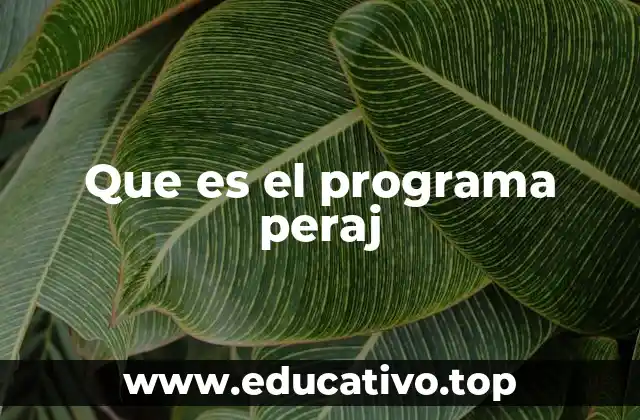 Que es el programa peraj
