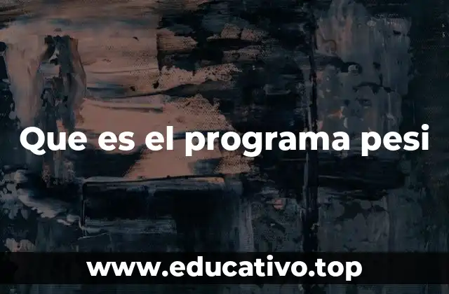Que es el programa pesi