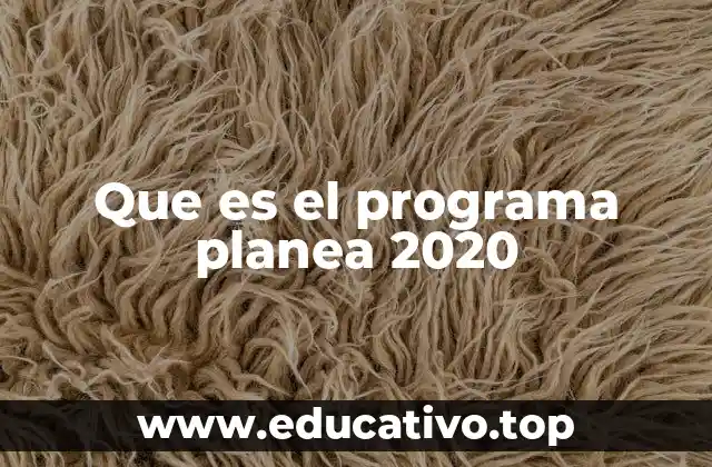 Que es el programa planea 2020