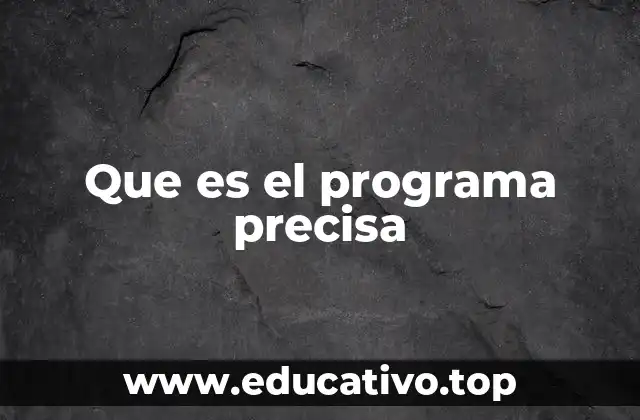 Que es el programa precisa