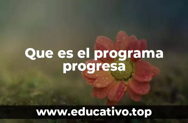 Que es el programa progresa