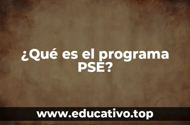 ¿Qué es el programa PSE?