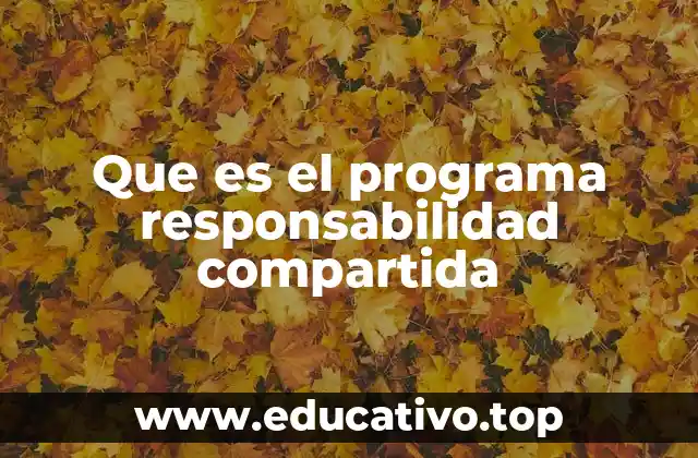 Que es el programa responsabilidad compartida