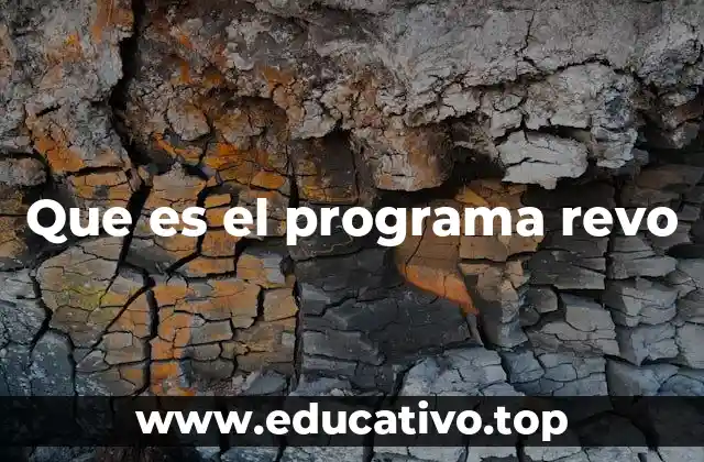 Que es el programa revo