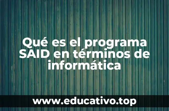 Qué es el programa SAID en términos de informática