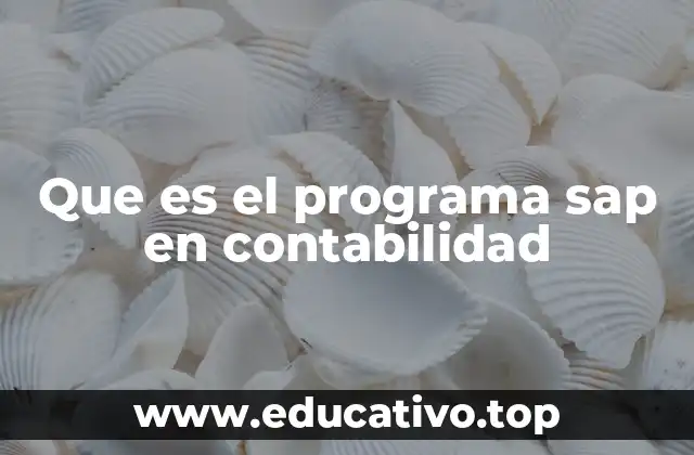 Que es el programa sap en contabilidad