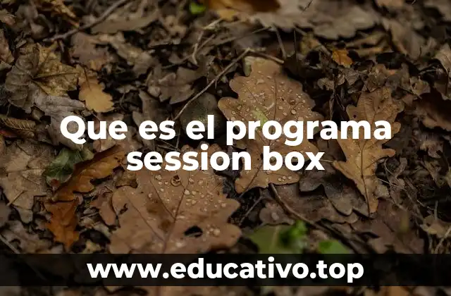 Que es el programa session box