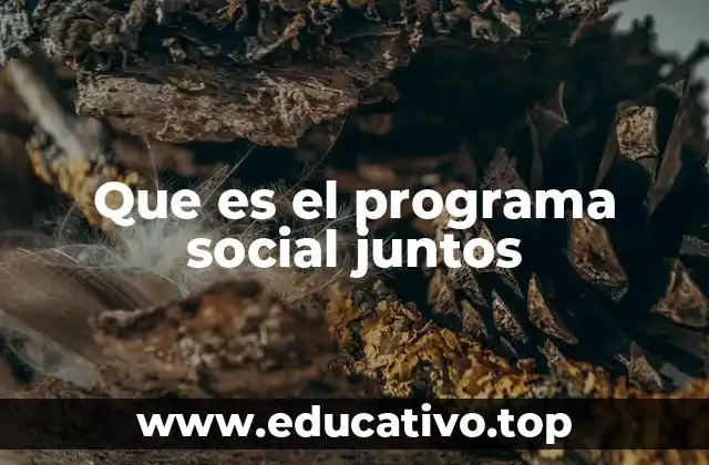 Que es el programa social juntos