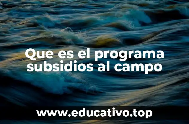 El papel de los subsidios en la agricultura nacional