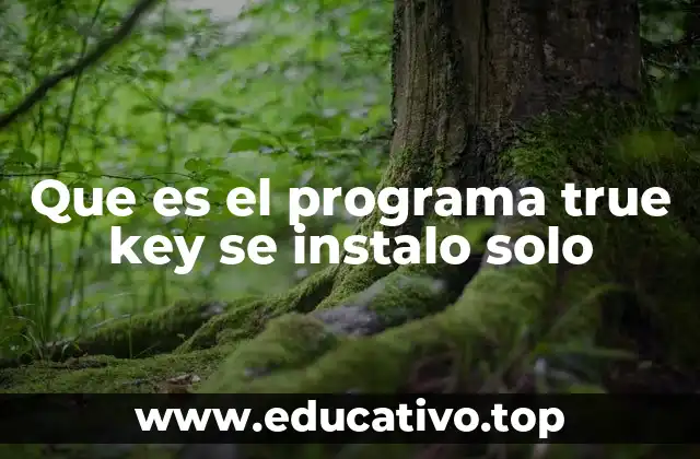 Que es el programa true key se instalo solo